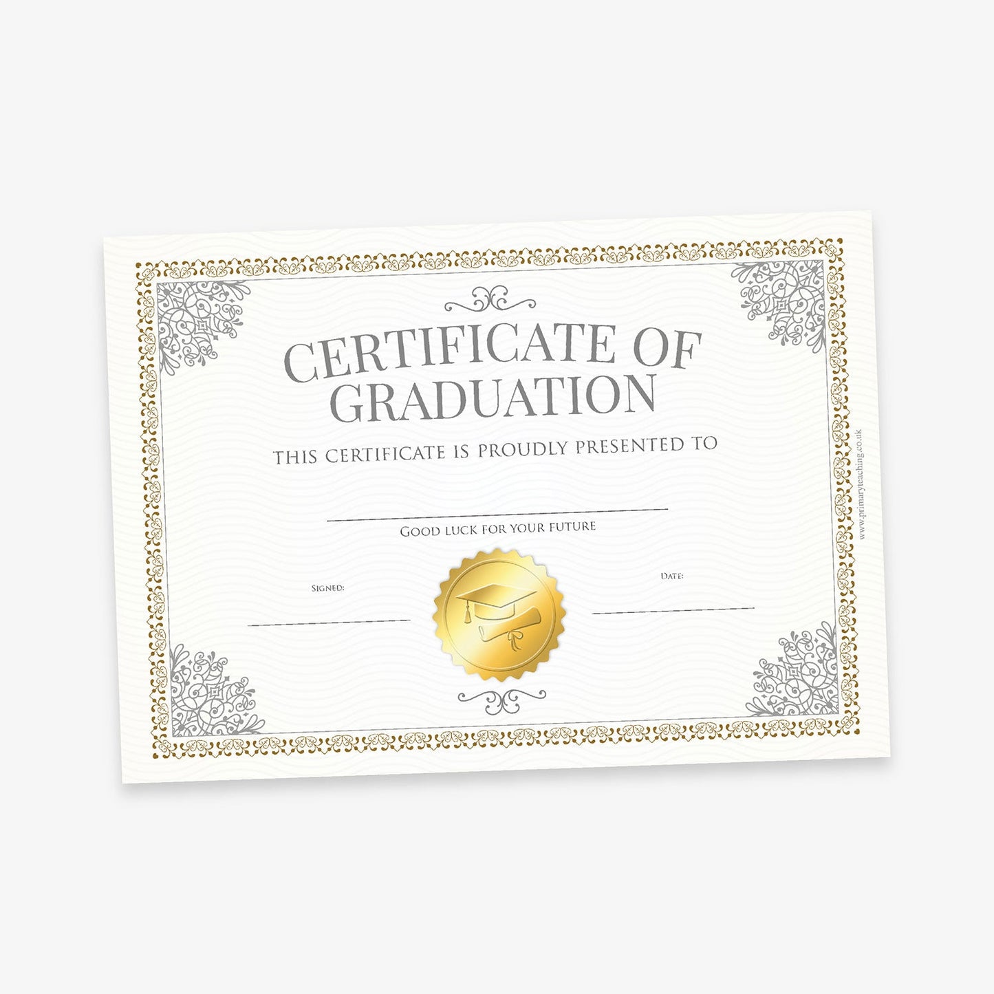 Elegant Certificate of Graduation with a cream background and ornate grey floral borders in each corner. The title 'CERTIFICATE OF GRADUATION' is centred in capital letters. Below is space to write the recipient’s name and other details, including 'Good luck for your future' above a gold embossed seal featuring a mortarboard and ribbon design. Lines for 'Signature' and 'Date' appear at the bottom