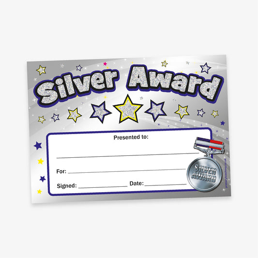 A5-sized holographic silver award certificate featuring a bold 'Silver Award' title with a glittery effect, a silver medal illustration in the bottom right corner and star emblems. Designated spaces for recipient's name, reason for the award, signature, and date.