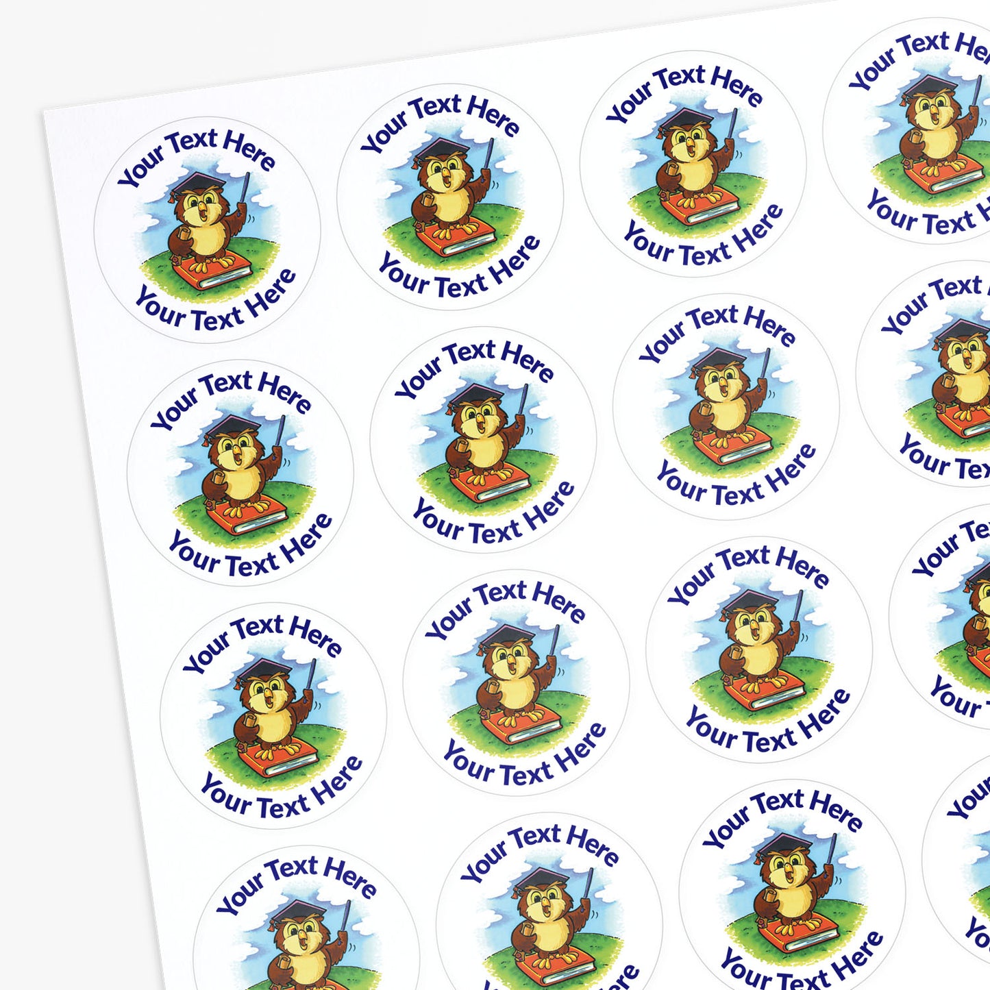Sheet of personalised stickers with an academic owl illustration and customisable text area.