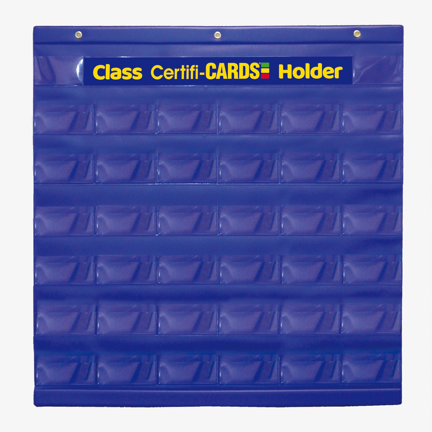 Blue plastic certificard holder, holds 36 certificards in individual pockets.
